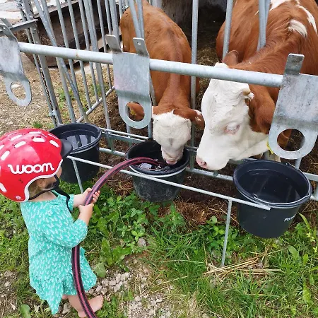 Mooslehen شقة Schönau am Königssee